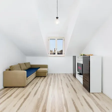 Spazioso Nel Centro Della Citta Apartment